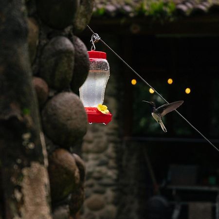 Hotel Pura Vista Glamping El Castillo Exteriér fotografie
