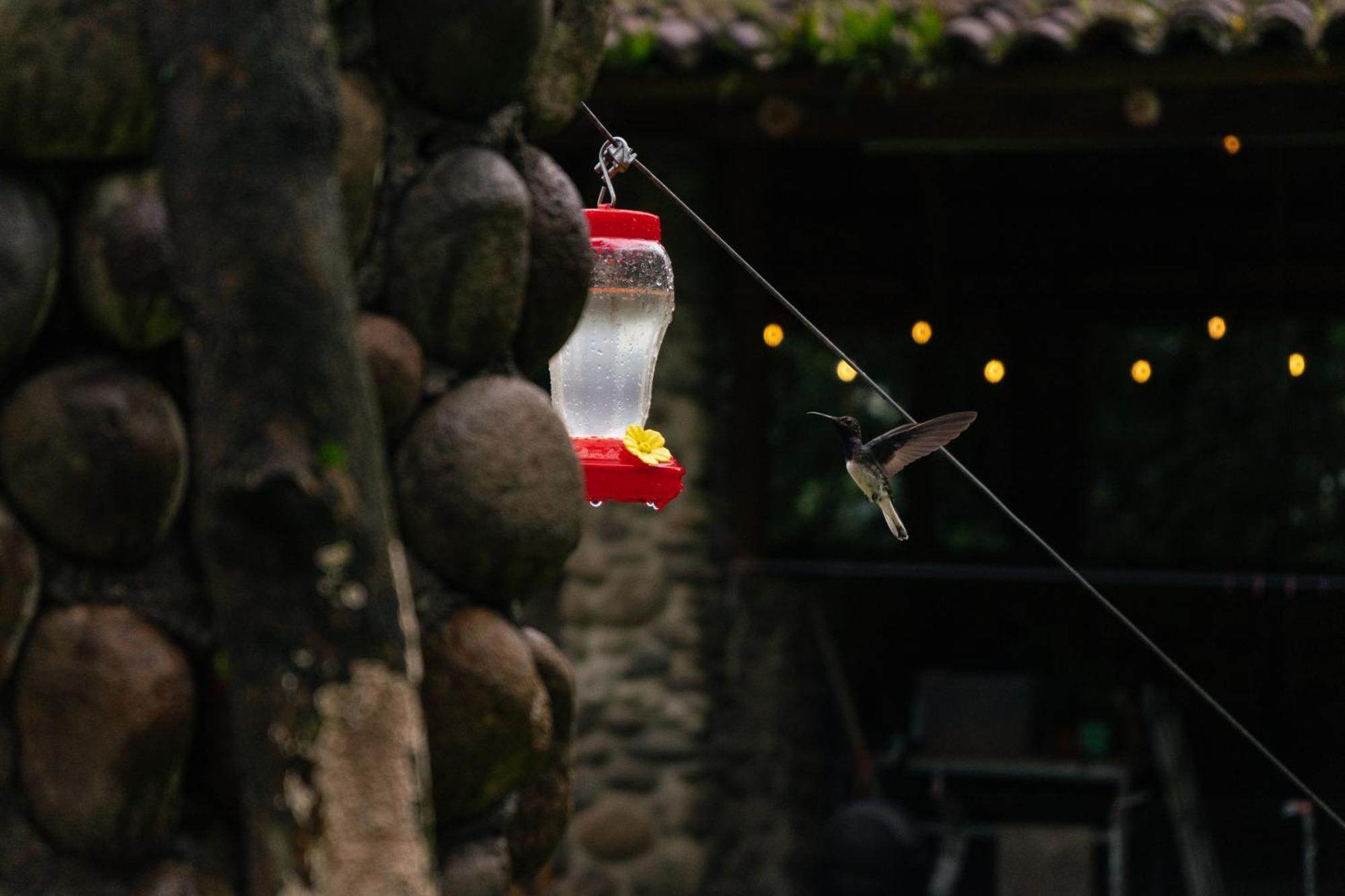 Hotel Pura Vista Glamping El Castillo Exteriér fotografie